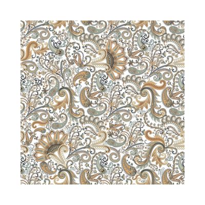 Carreau de ciment Paisley MYSORE 25×25